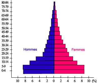 pyramide des âges du Burkina-Fasso, 1996